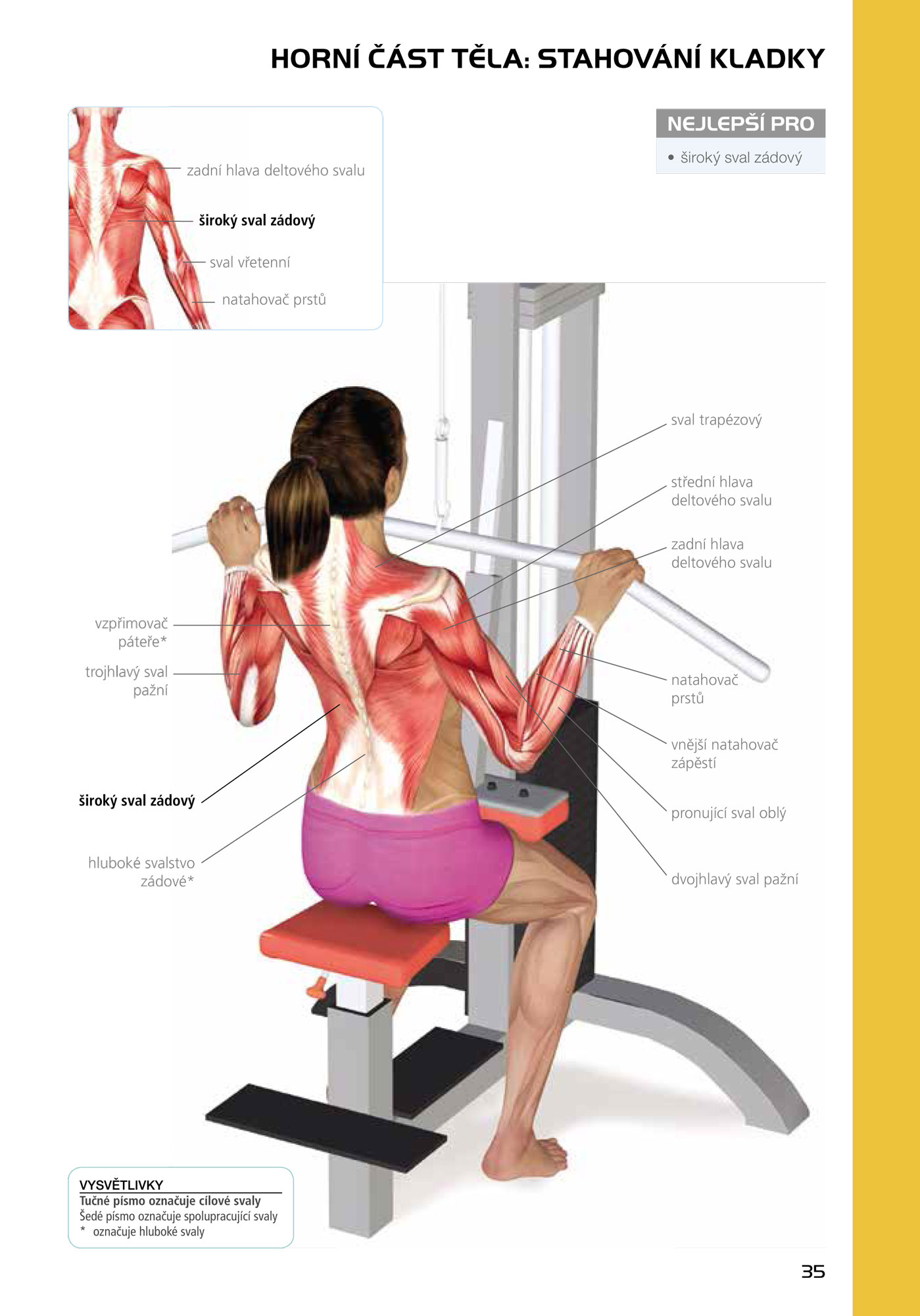 Encyklopedie posilování - anatomie