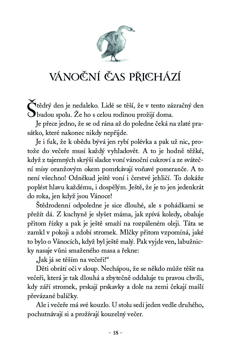 Dobrodružství začíná pod hvězdami