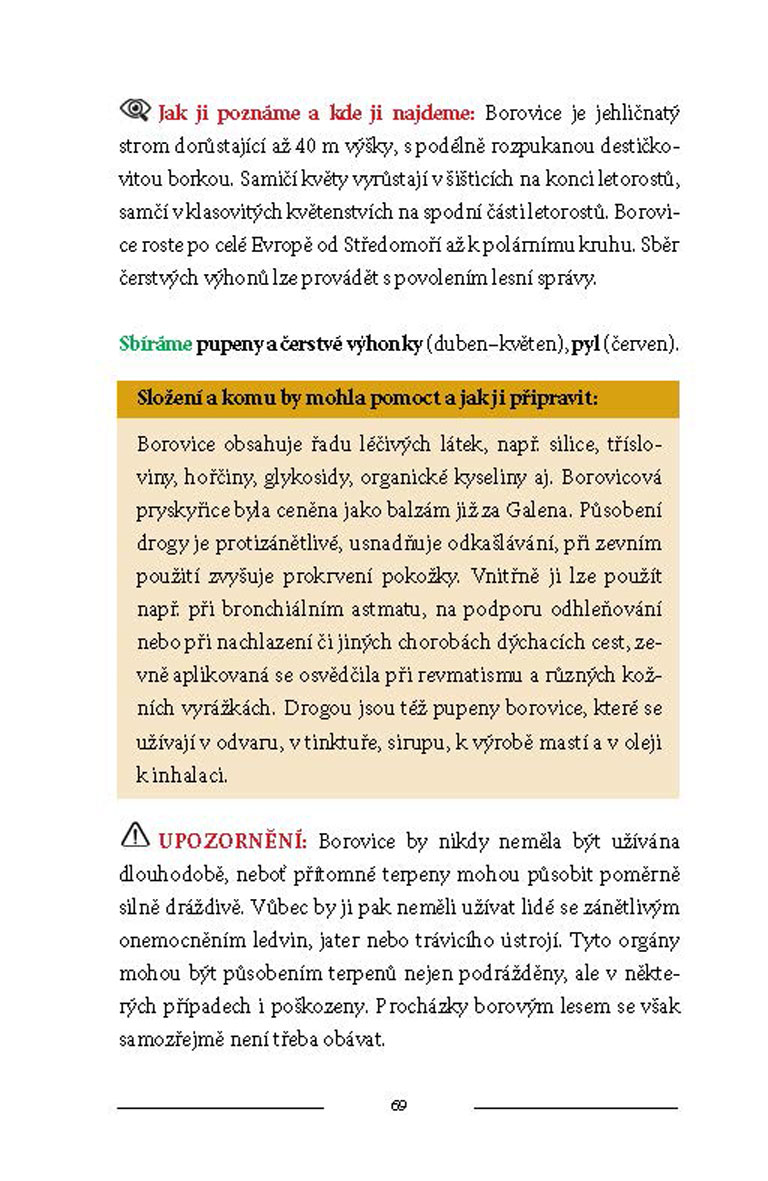 Bylinky naší prabáby