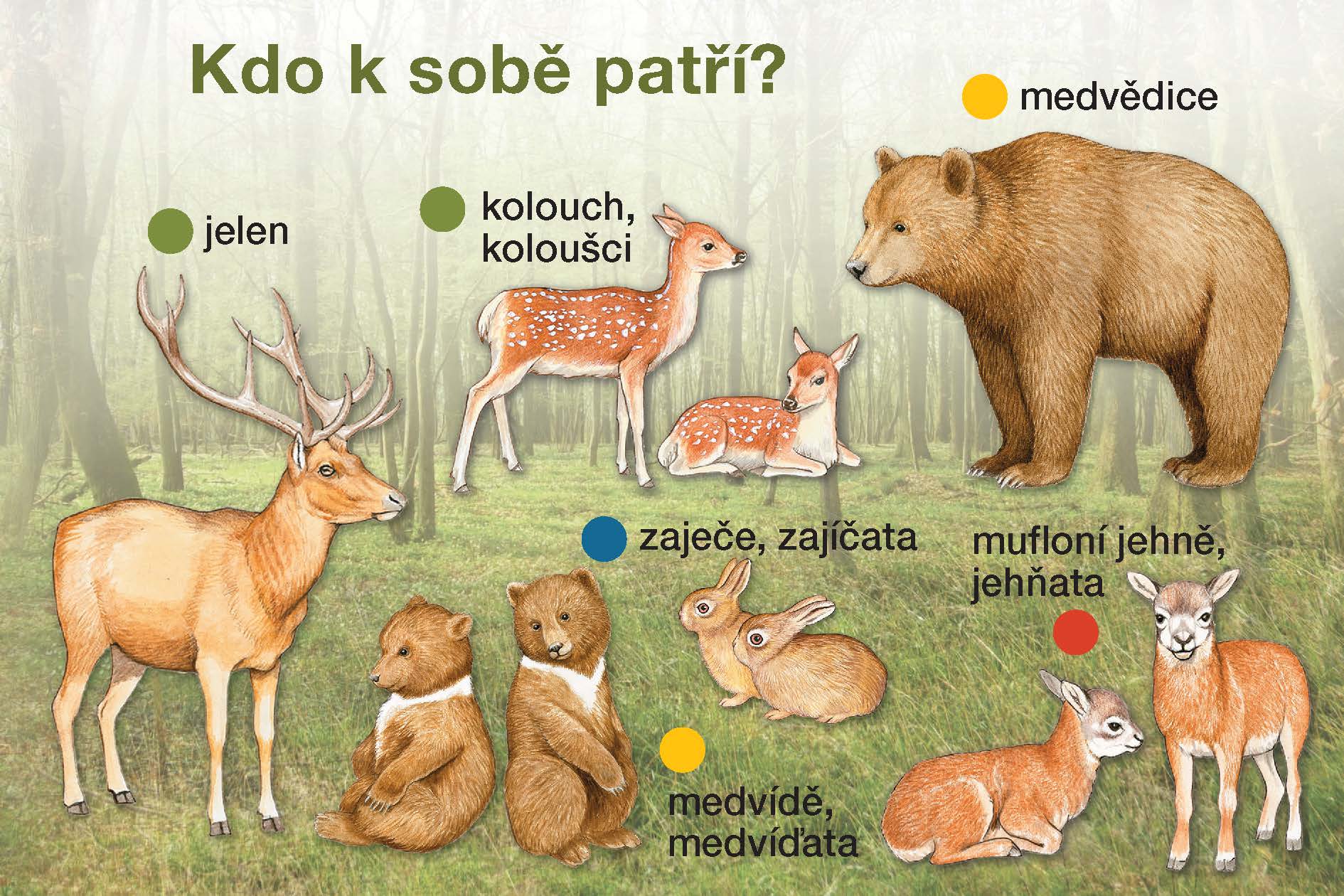 Kdo k sobě patří