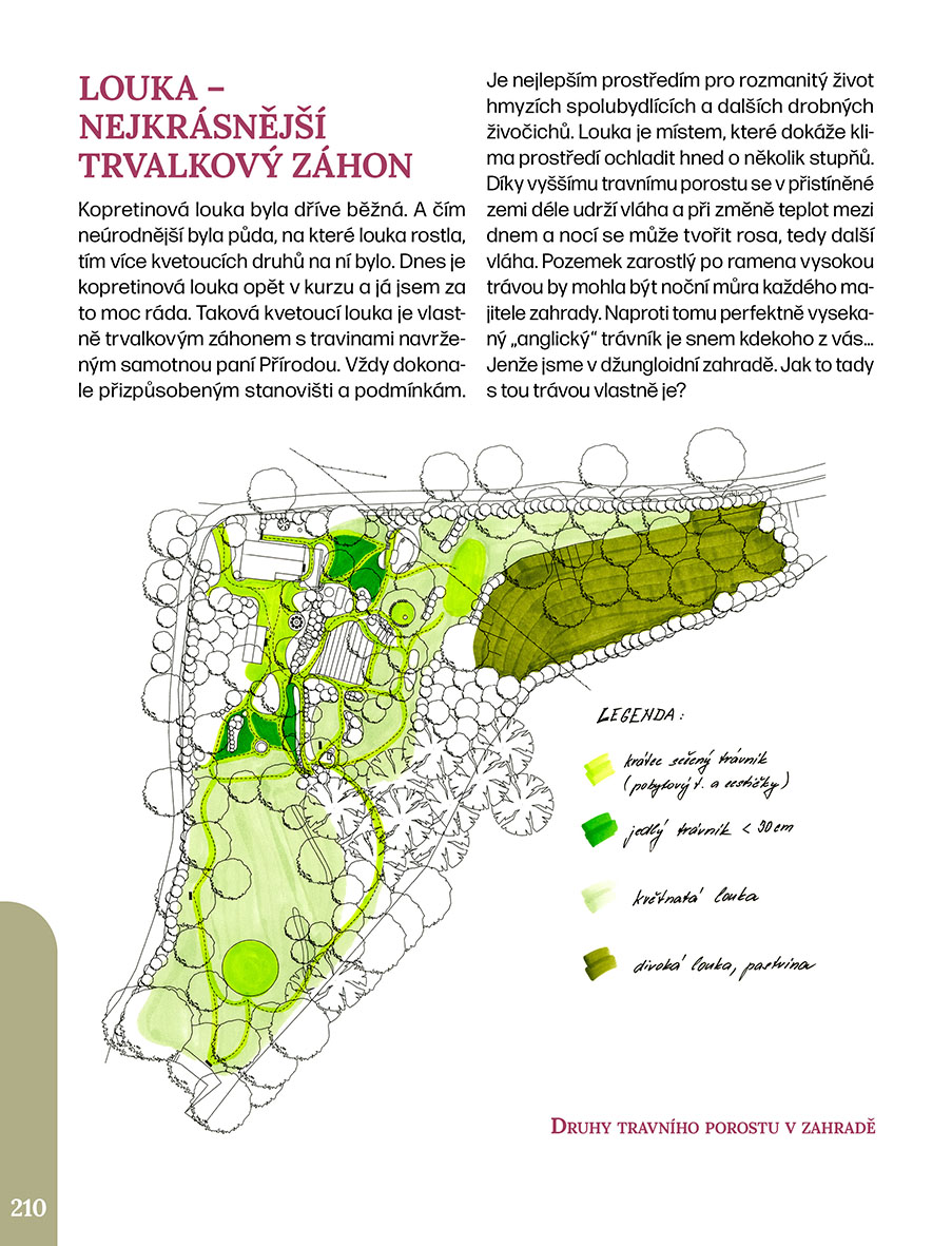 Džungloidní zahrady od Nezkrotné zahradnice