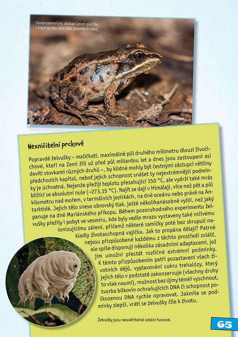 Hranice života
