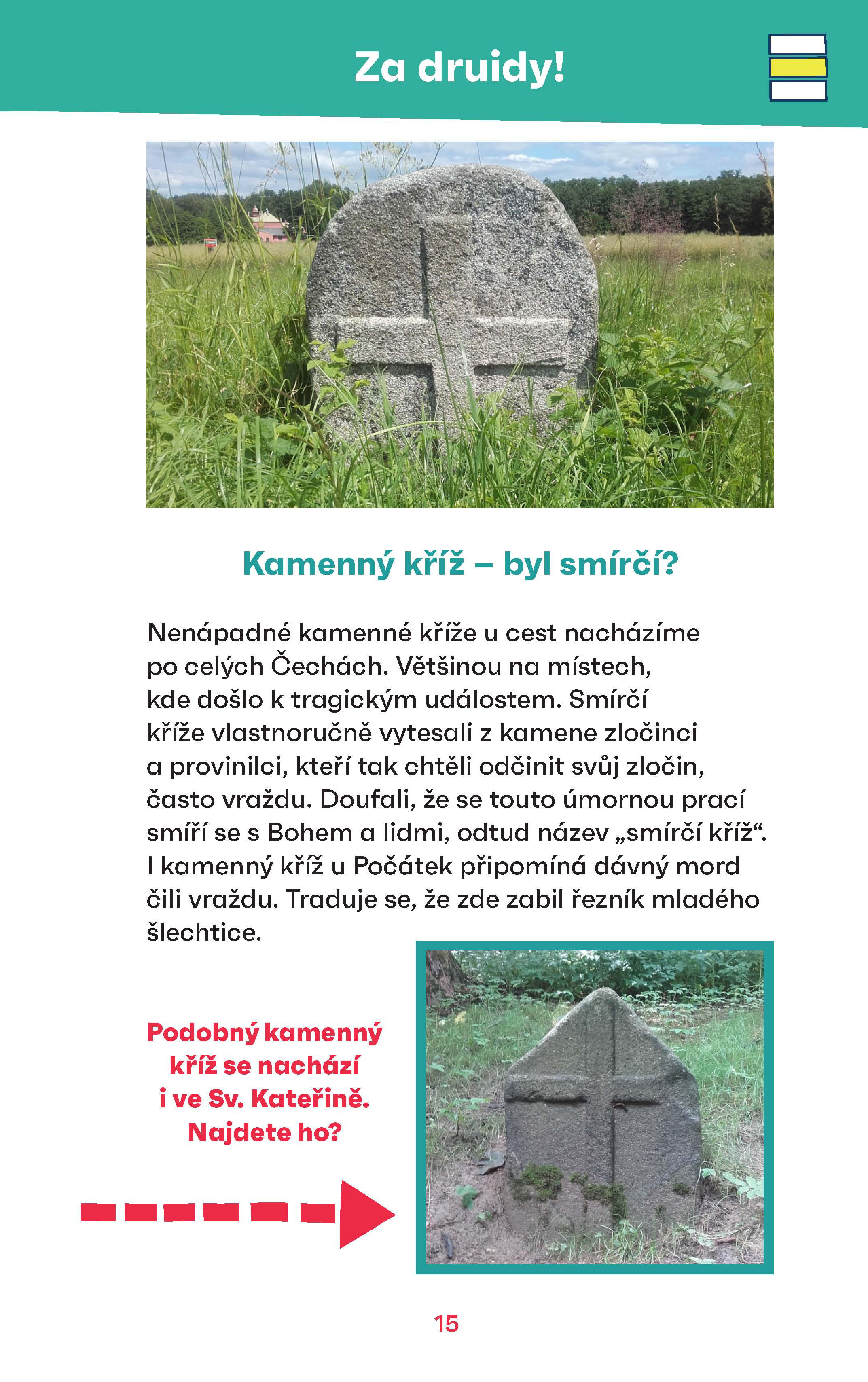 Po vlastních po vlasti