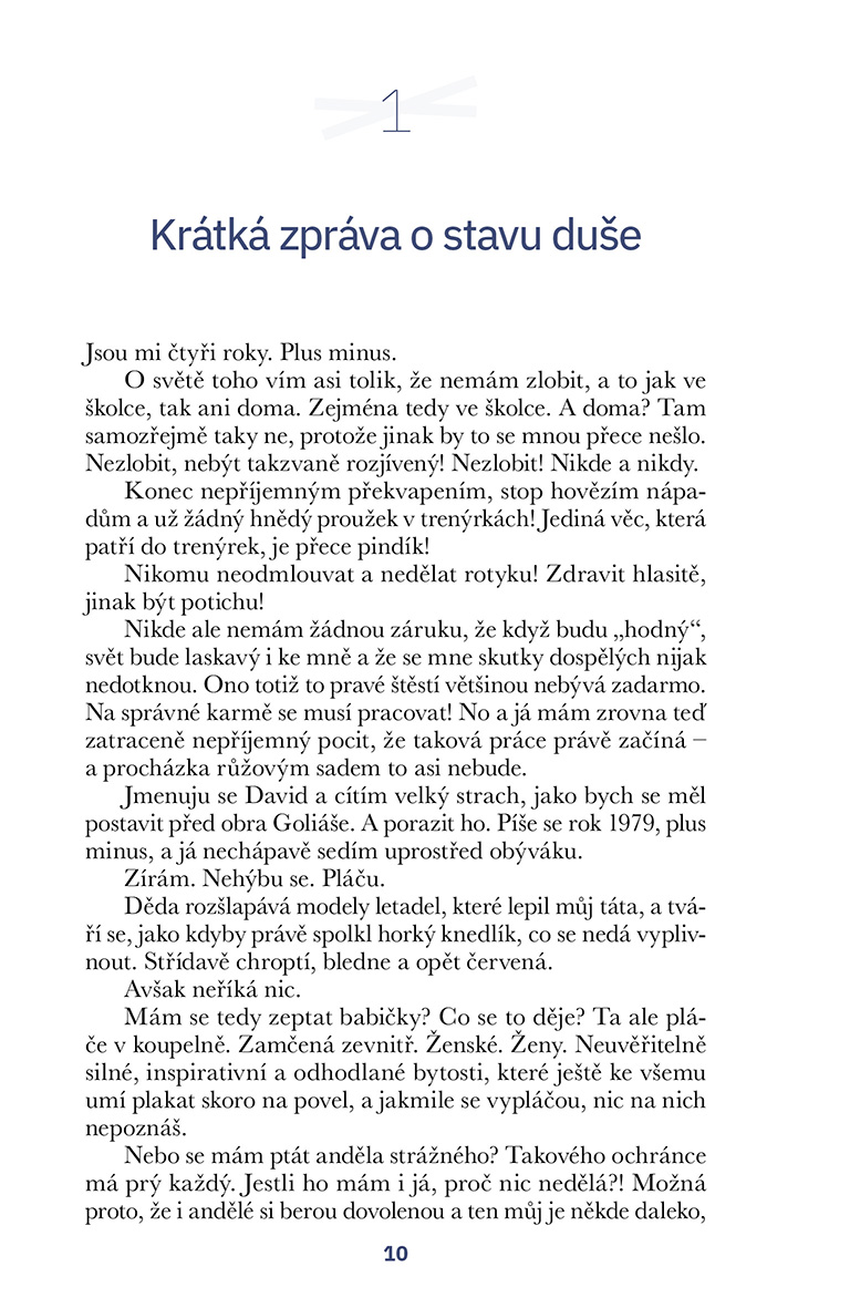 Krátká zpráva o stavu duše