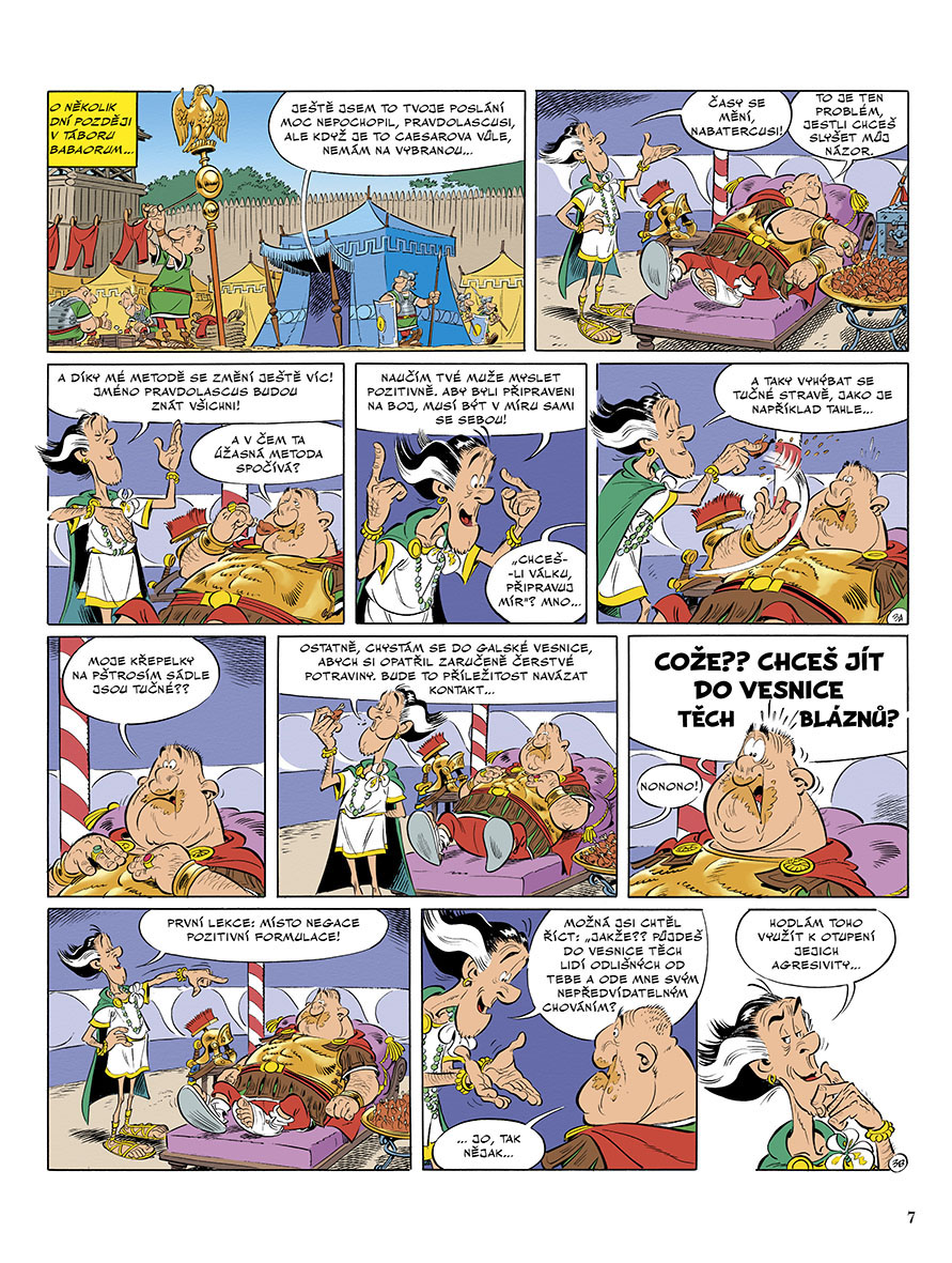Asterix 40 - Bílý kosatec