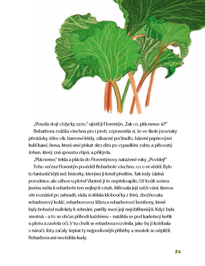 Kam zmizela Rebarbora?