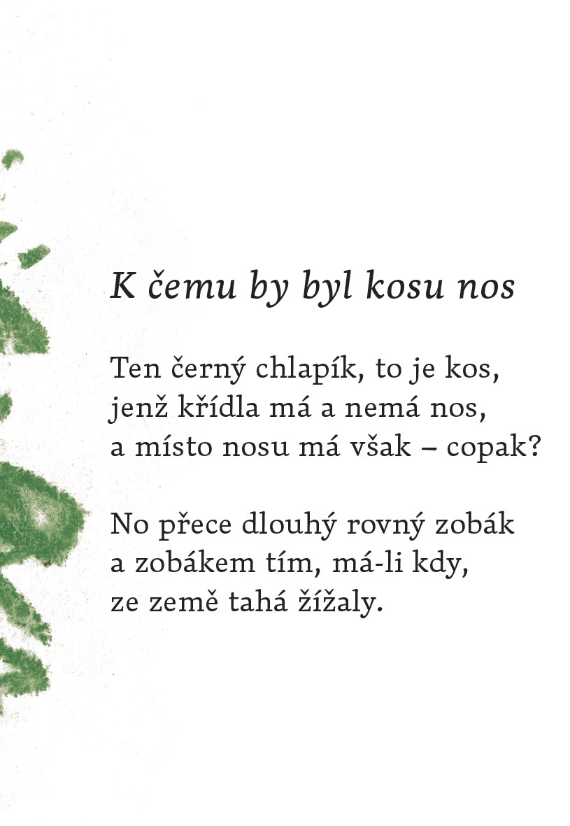 Proč ten ptáček z větve nespadne