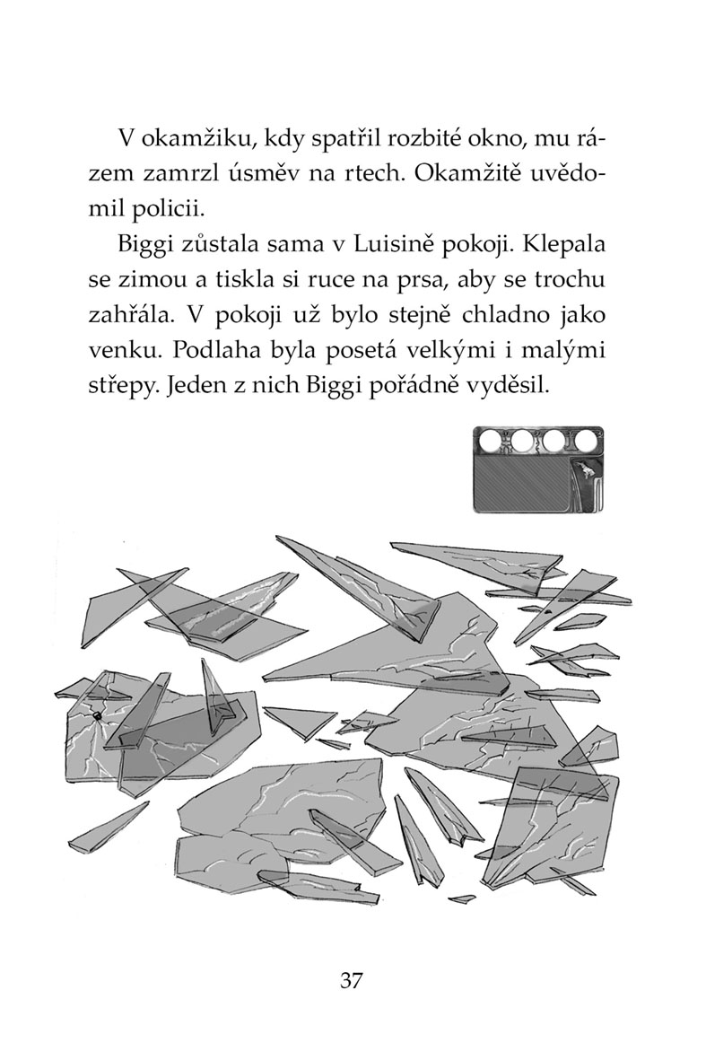 Klub Tygrů - Černí bojovníci