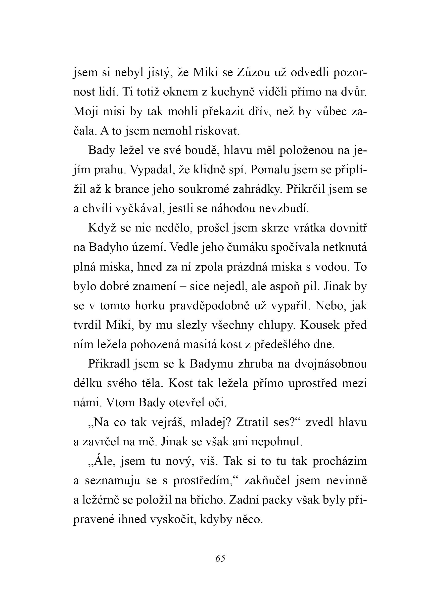 Australský ovčák jede na prázdniny