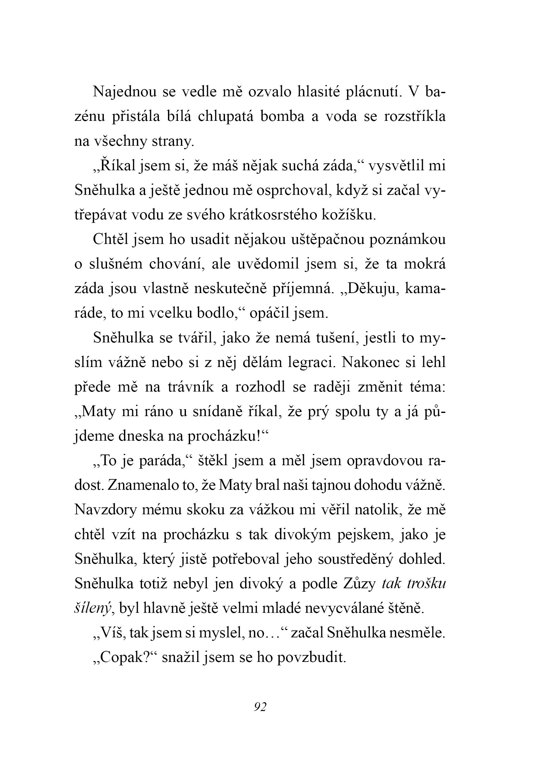 Australský ovčák jede na prázdniny