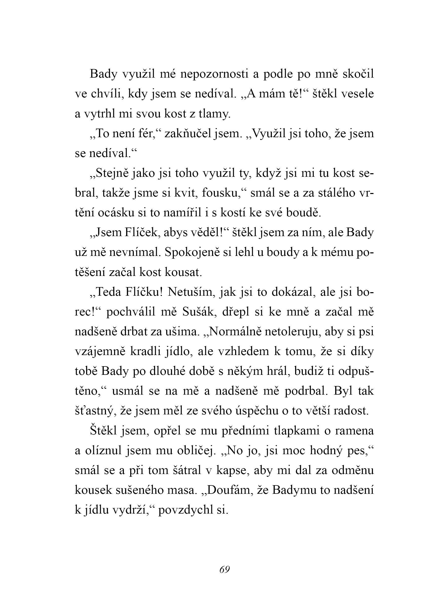 Australský ovčák jede na prázdniny