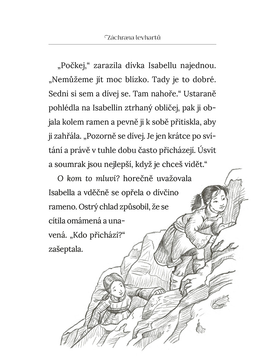 Vánoční příběhy: Záchrana levhartů
