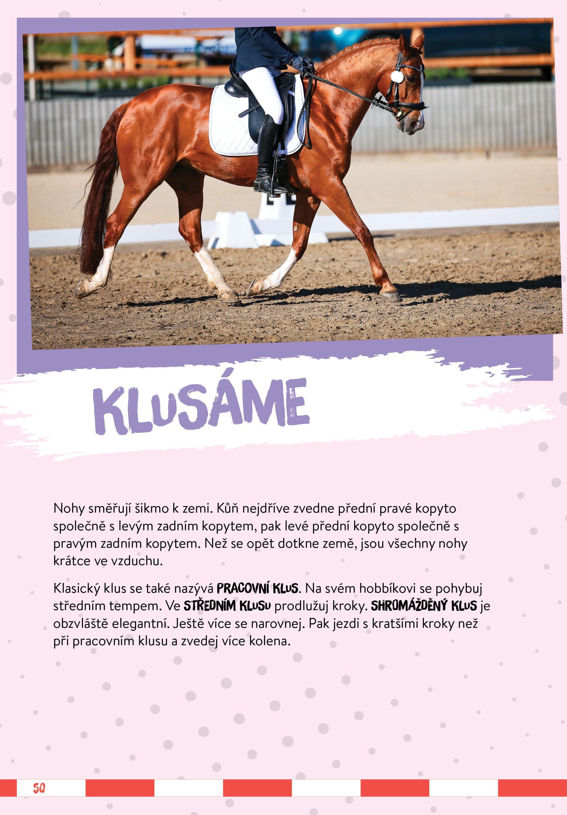 Hobby horsing