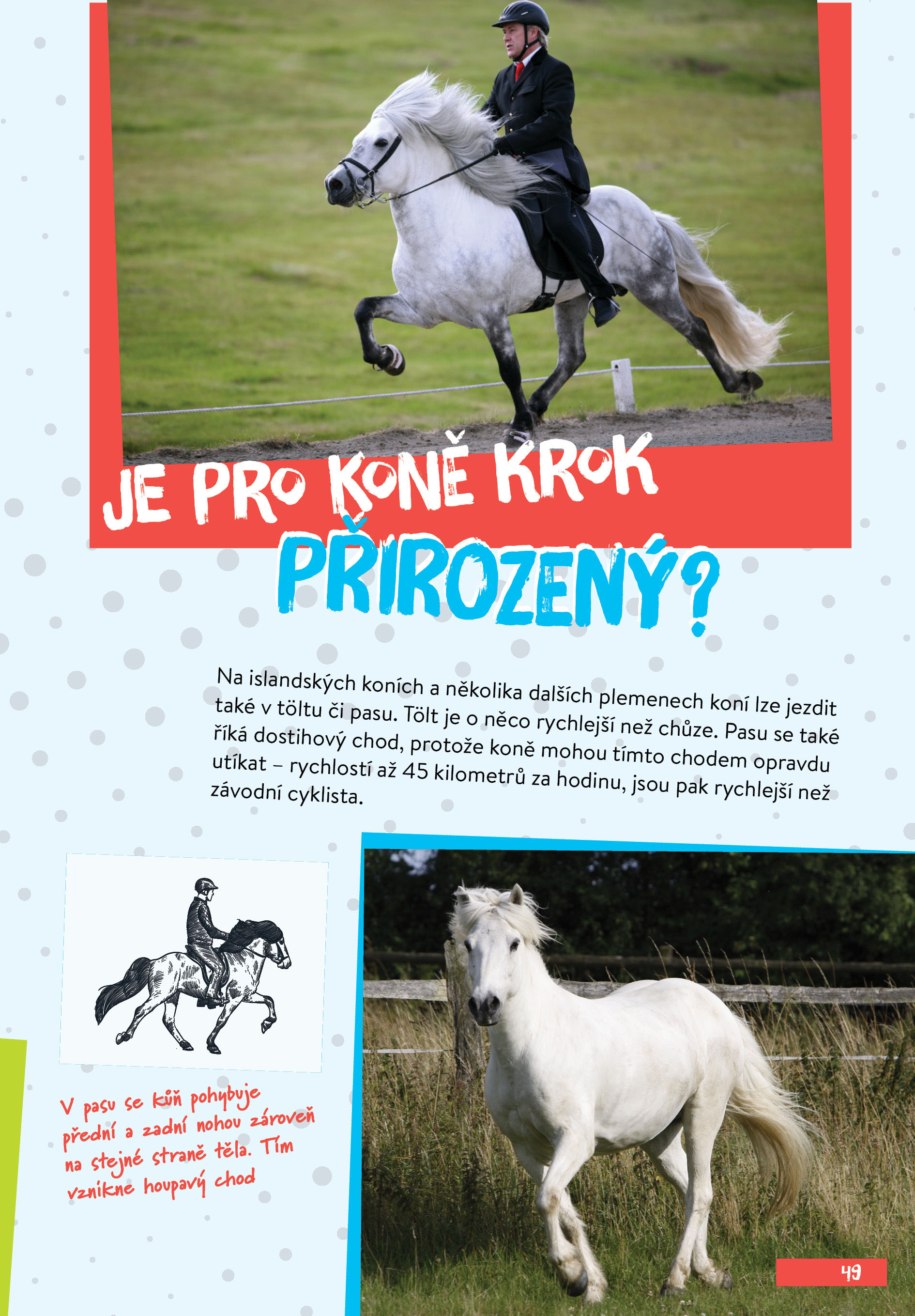 Hobby horsing