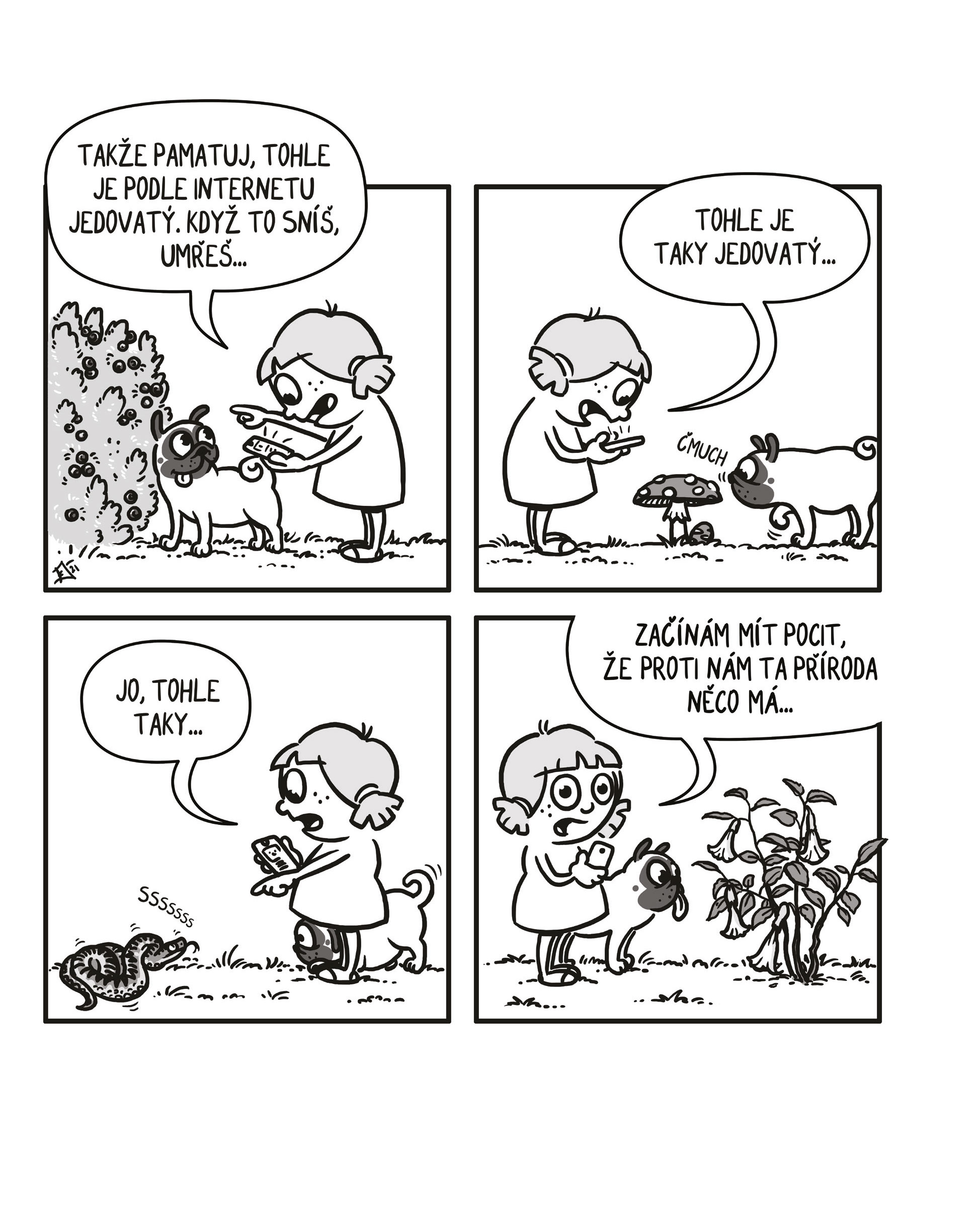 Kačka & Mops. Placatý komiks