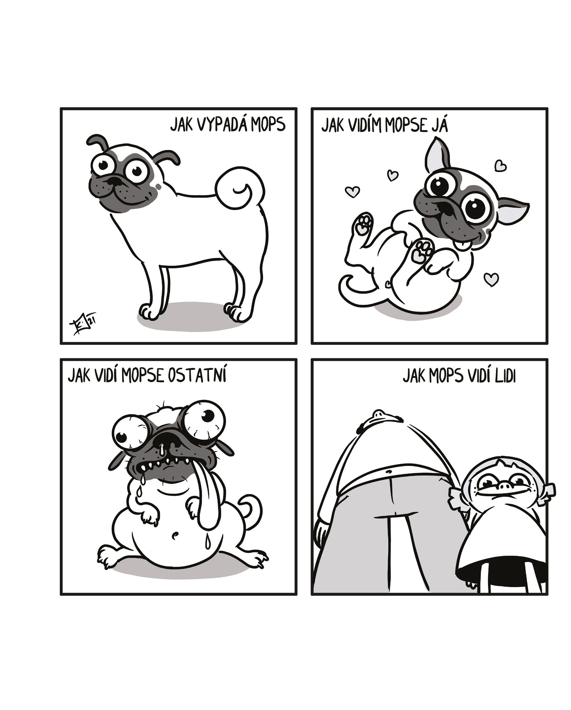 Kačka & Mops. Placatý komiks