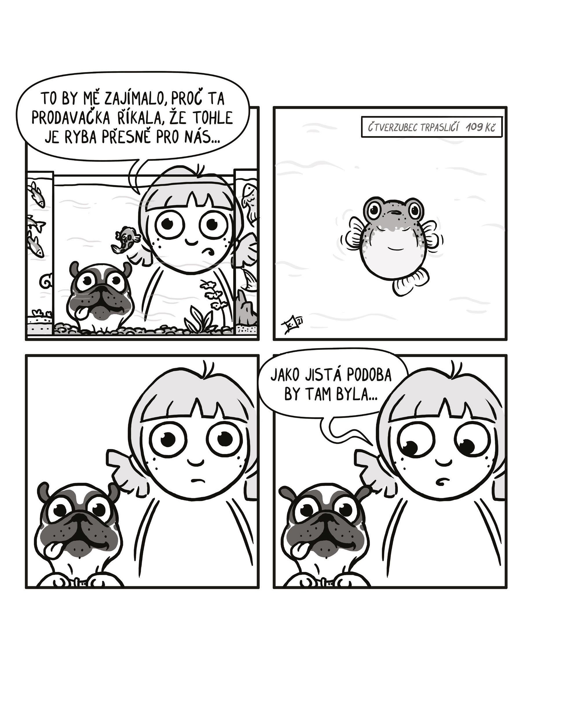 Kačka & Mops. Placatý komiks