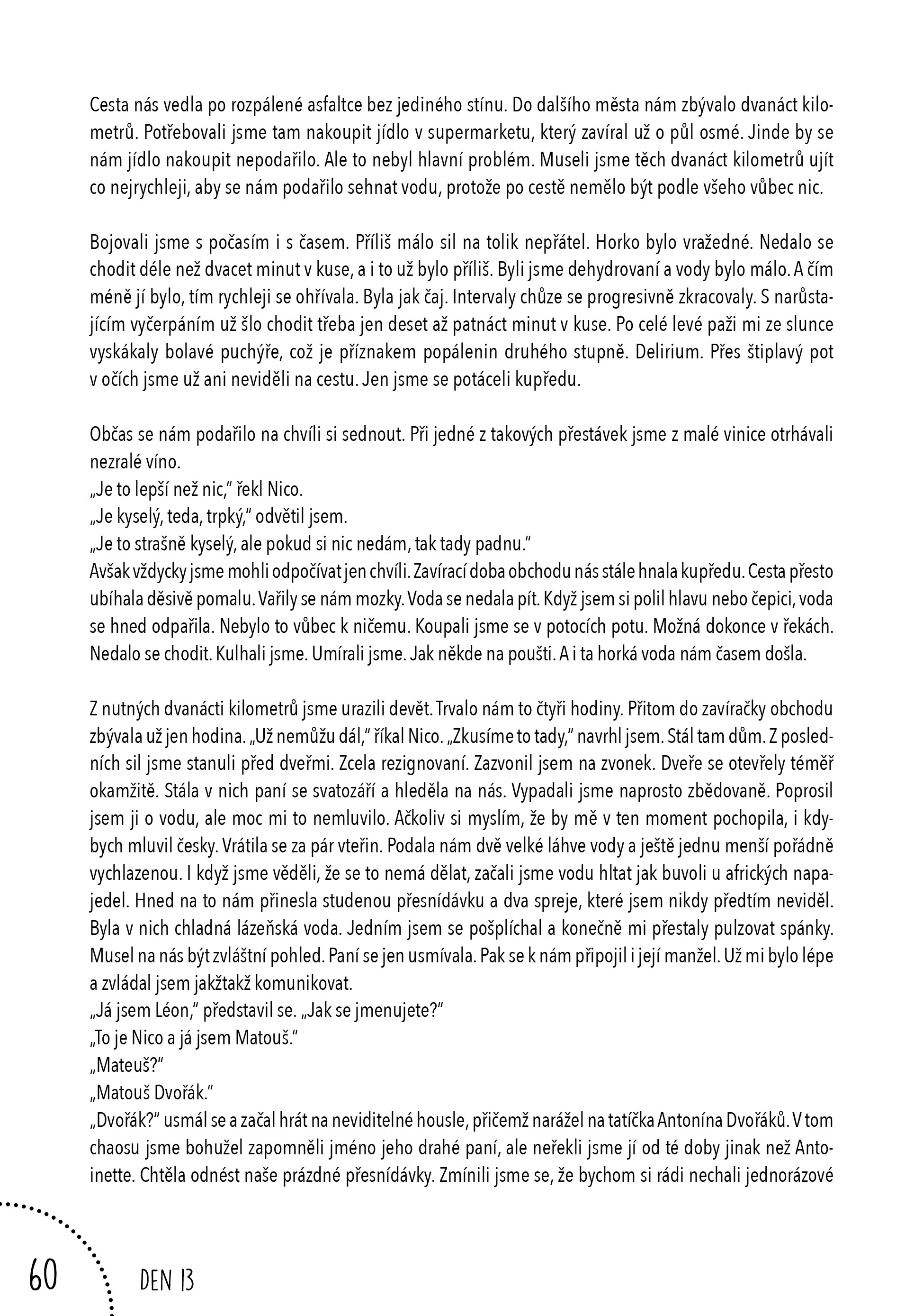 Pěšky z Paříže do Santiaga 