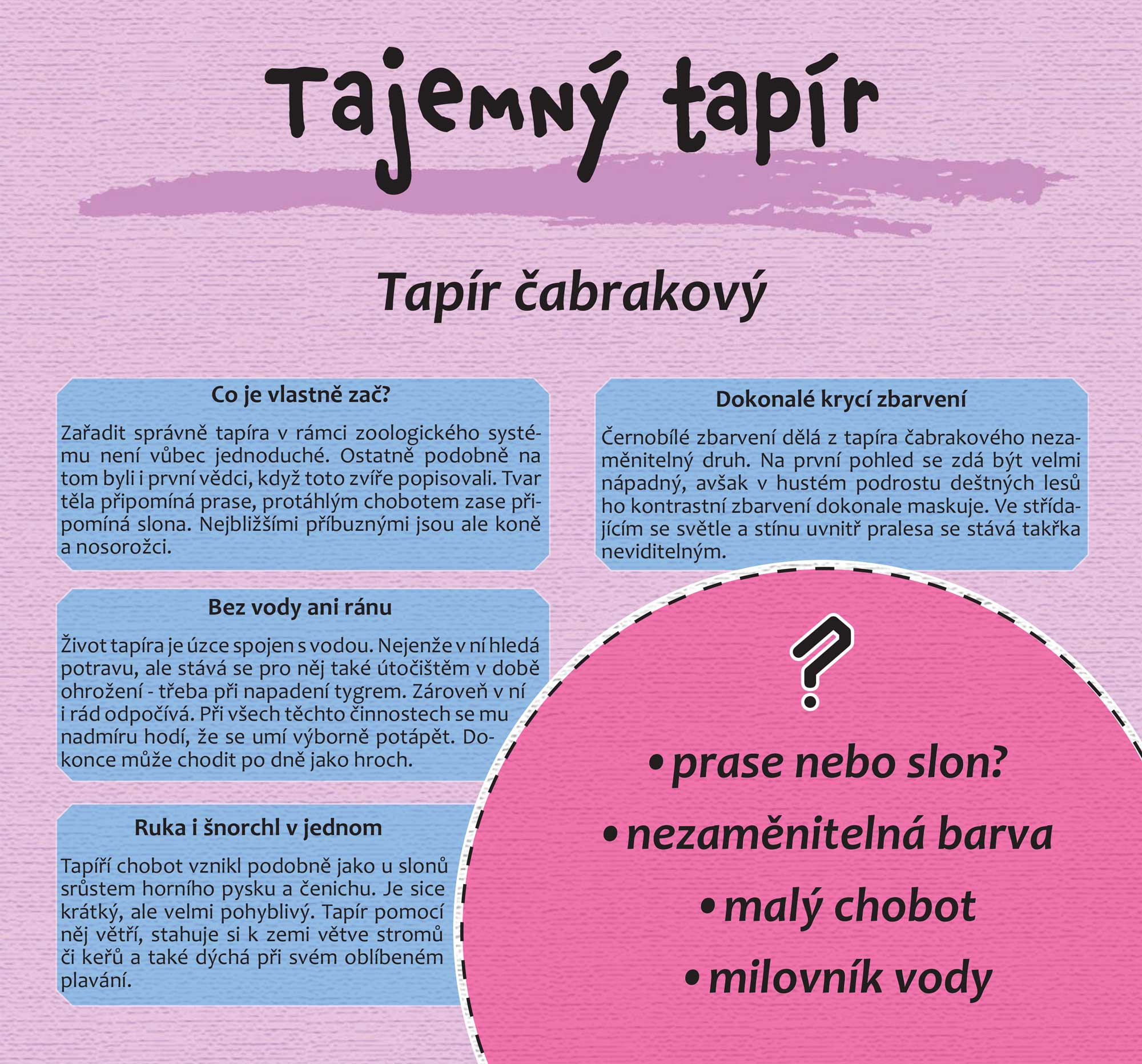 Zoohrátky se zvířátky
