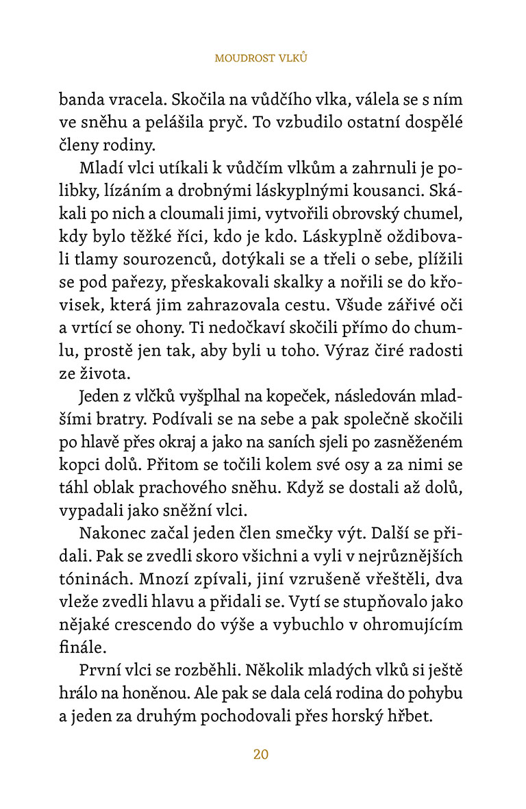 Moudrost vlků