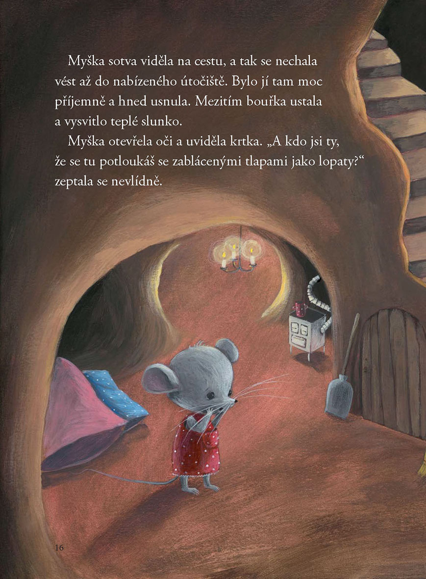 Jak myška hledala kamarády