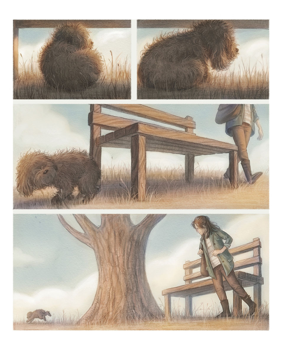 Teddy