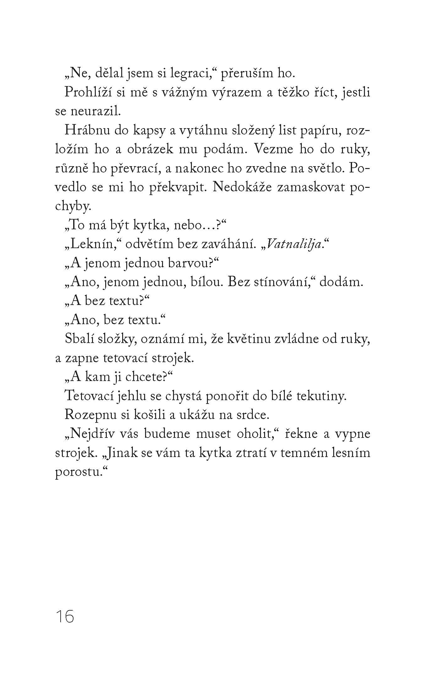 Nad propastí byla tma