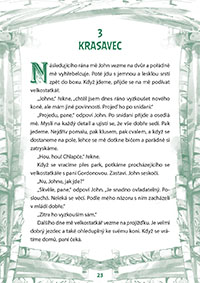 Černý krasavec A1/A2