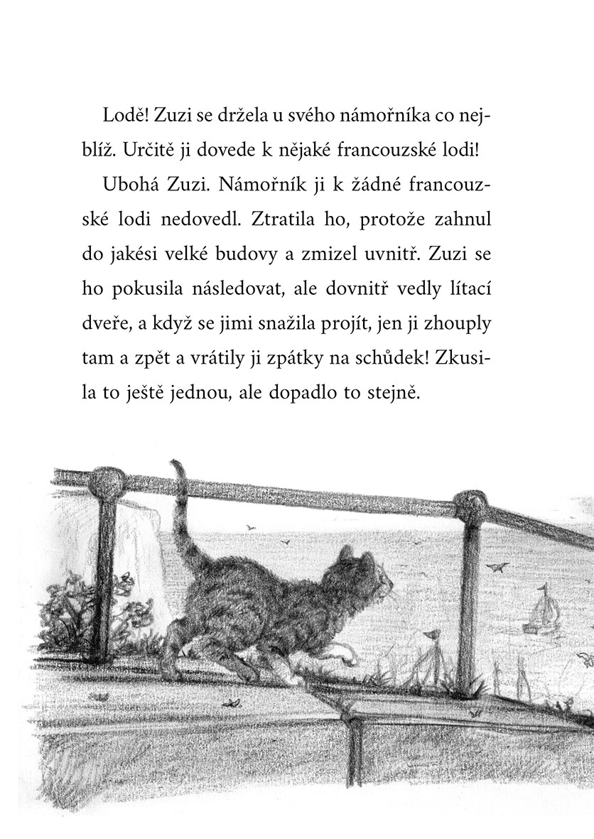 O ztracené kočičce