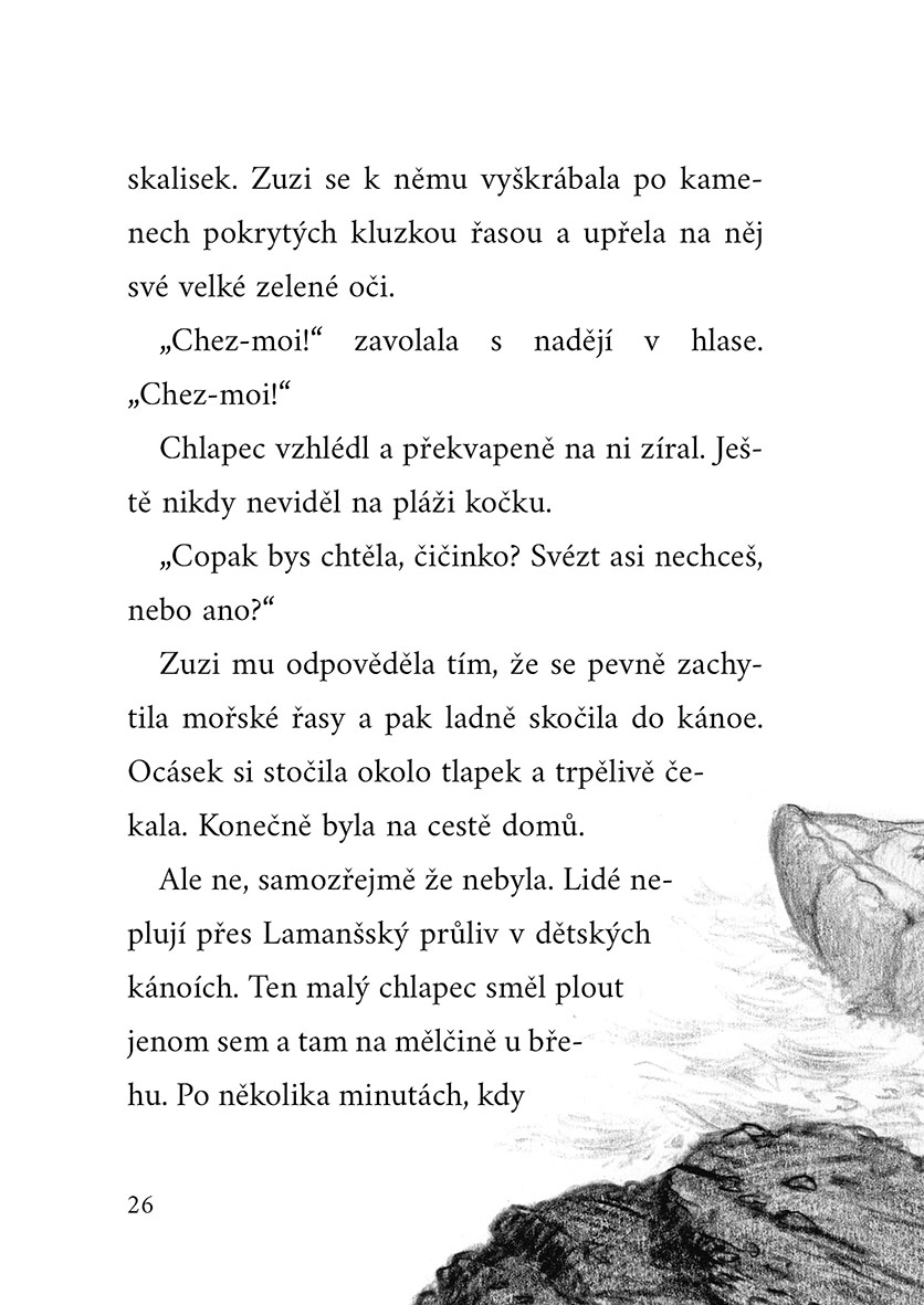 O ztracené kočičce