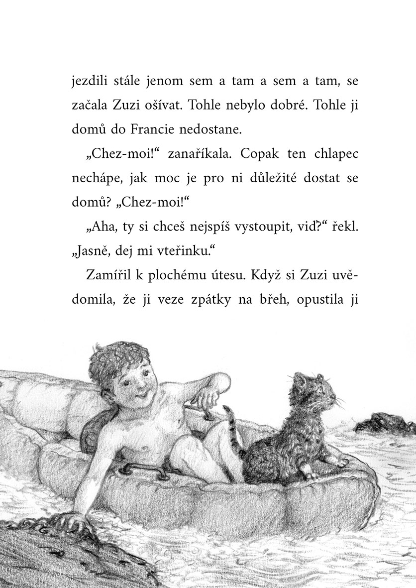 O ztracené kočičce