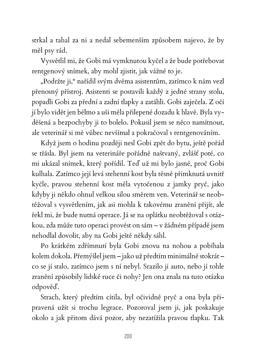 Gobi