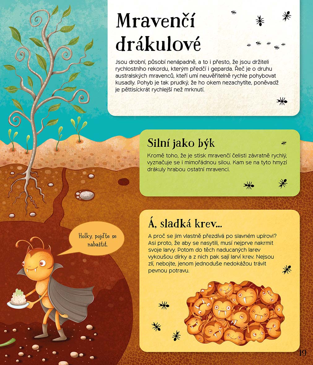 Svět mravenců