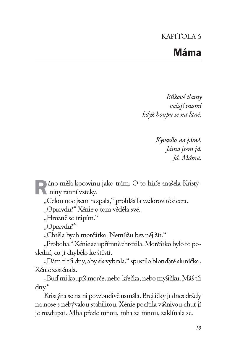 Deník šílené manželky