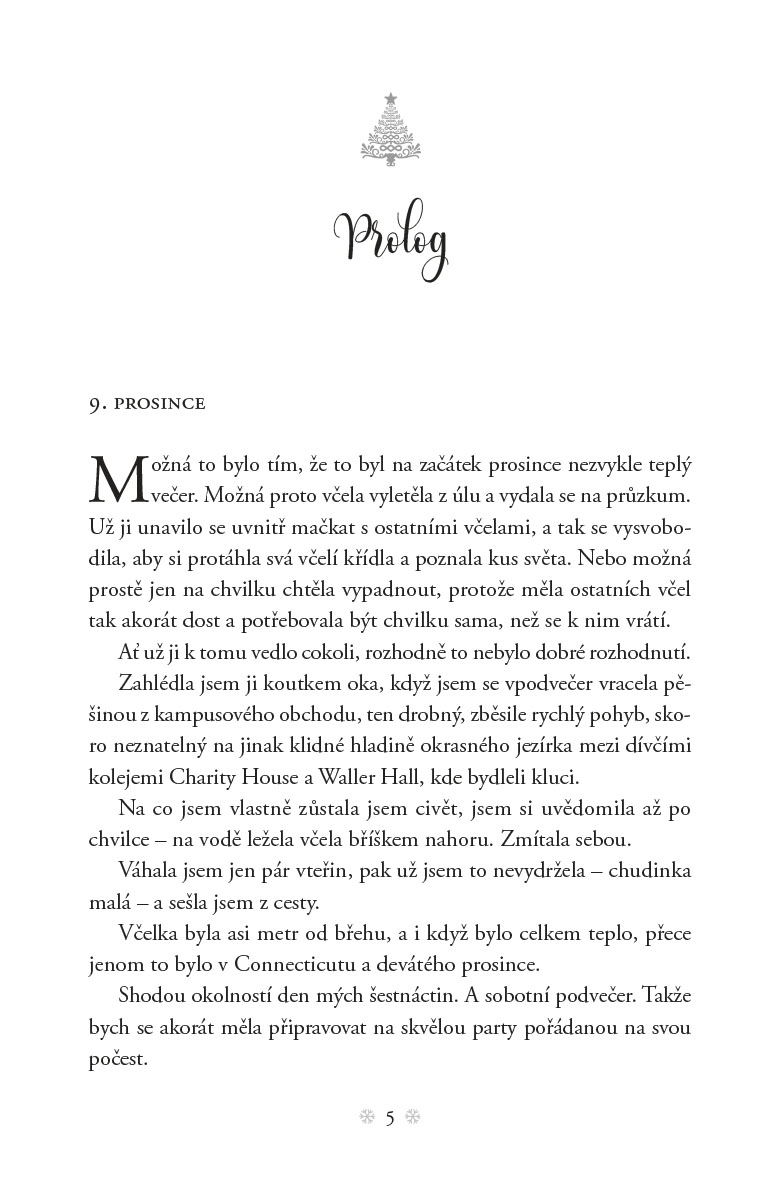 Vánoční prázdniny