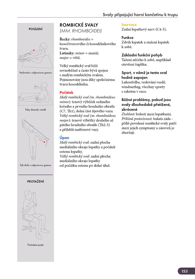 Atlas svalů - anatomie, 2. aktualizované vydání