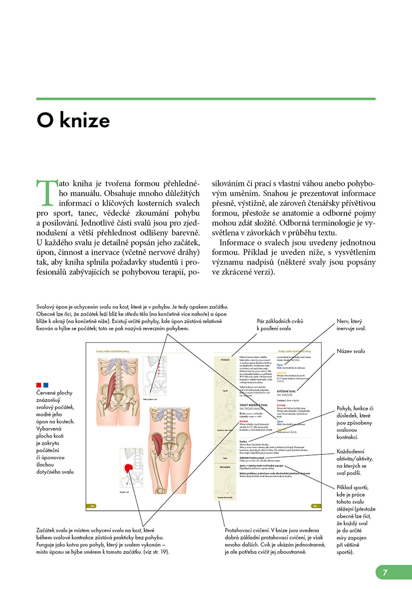 Atlas svalů - anatomie, 2. aktualizované vydání