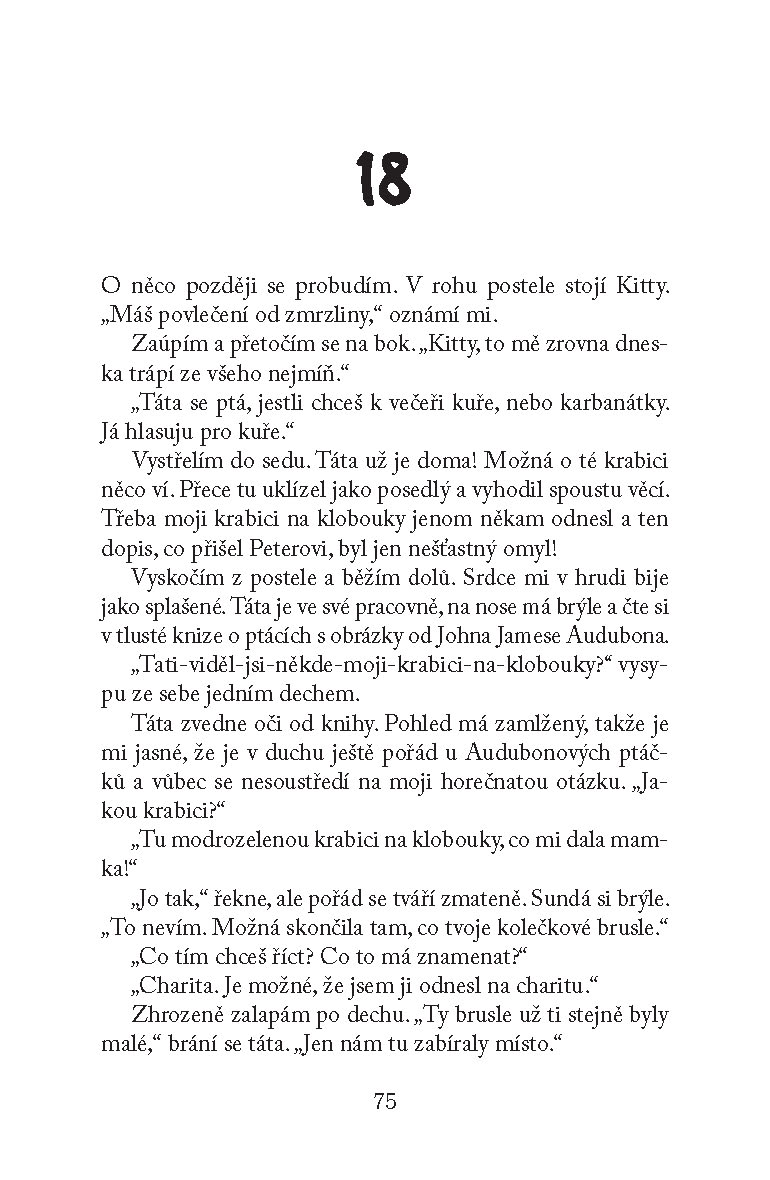 Všem klukům, které jsem milovala