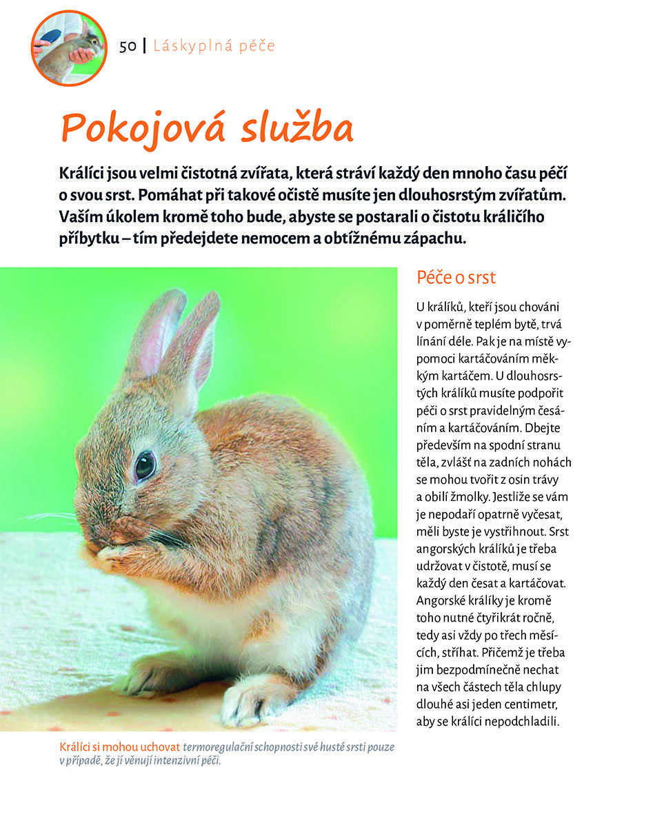 Moji zakrslí ušáci