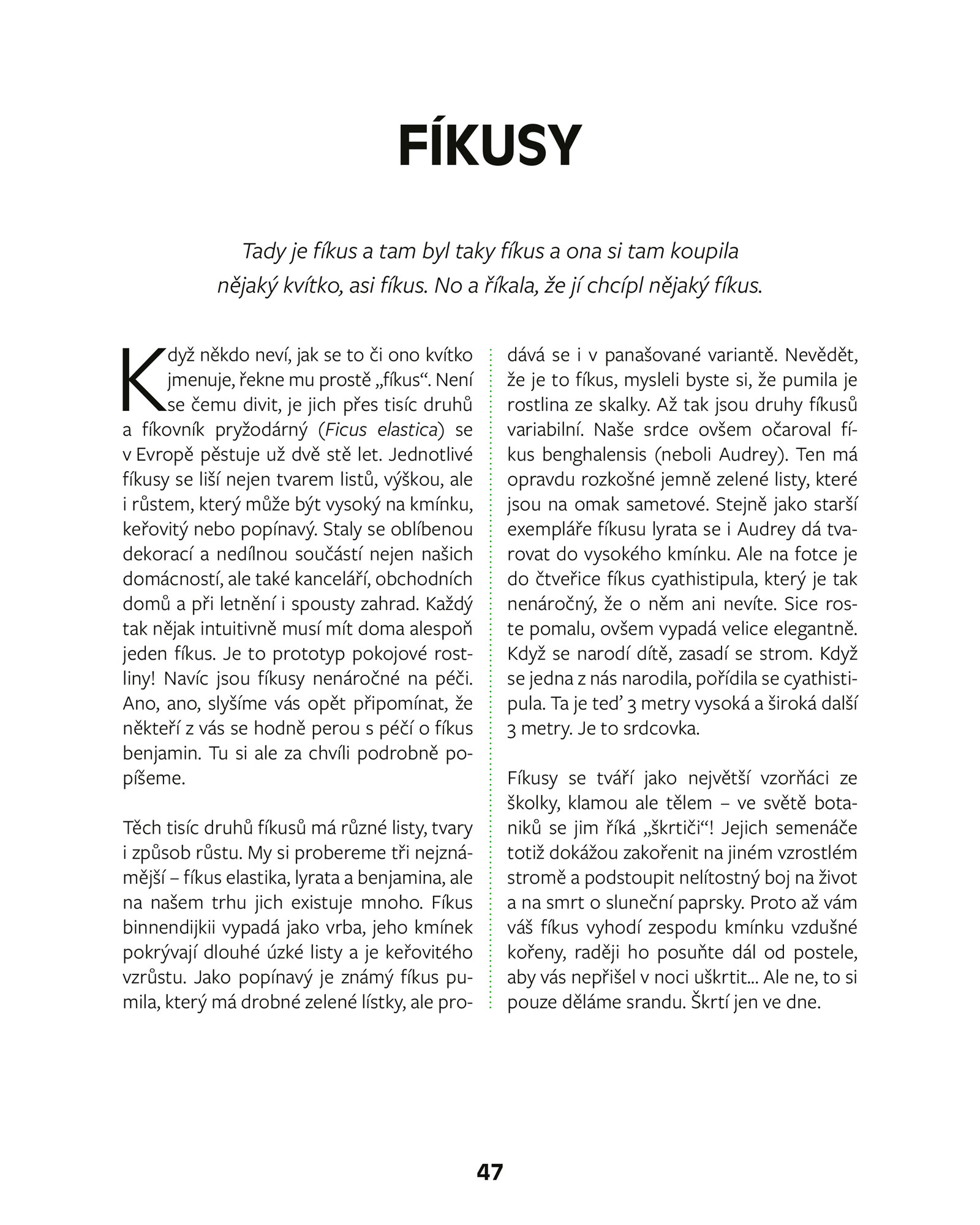 Kvítka v bytě