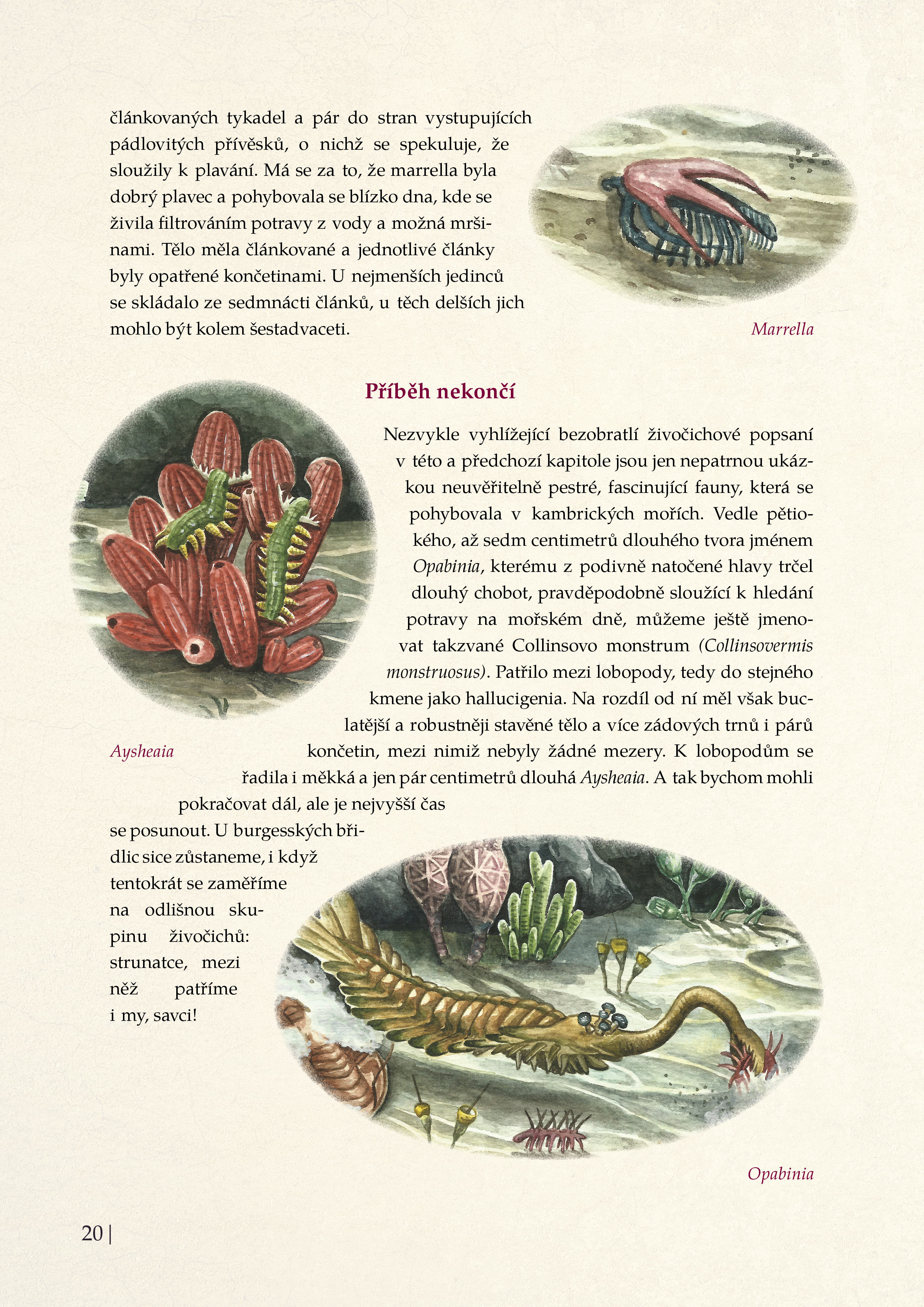 Pravěká monstra – Život v prvohorách
