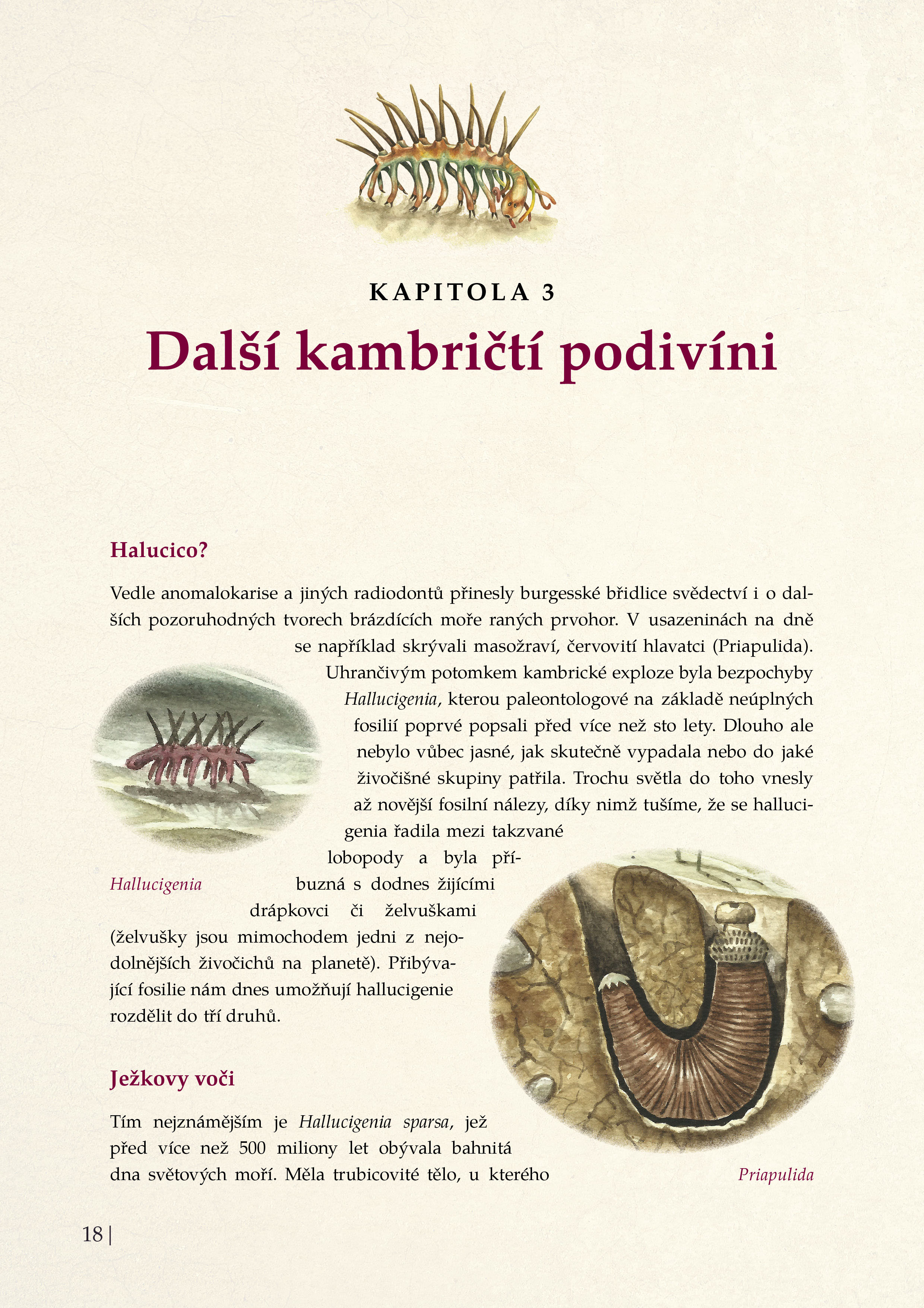 Pravěká monstra – Život v prvohorách