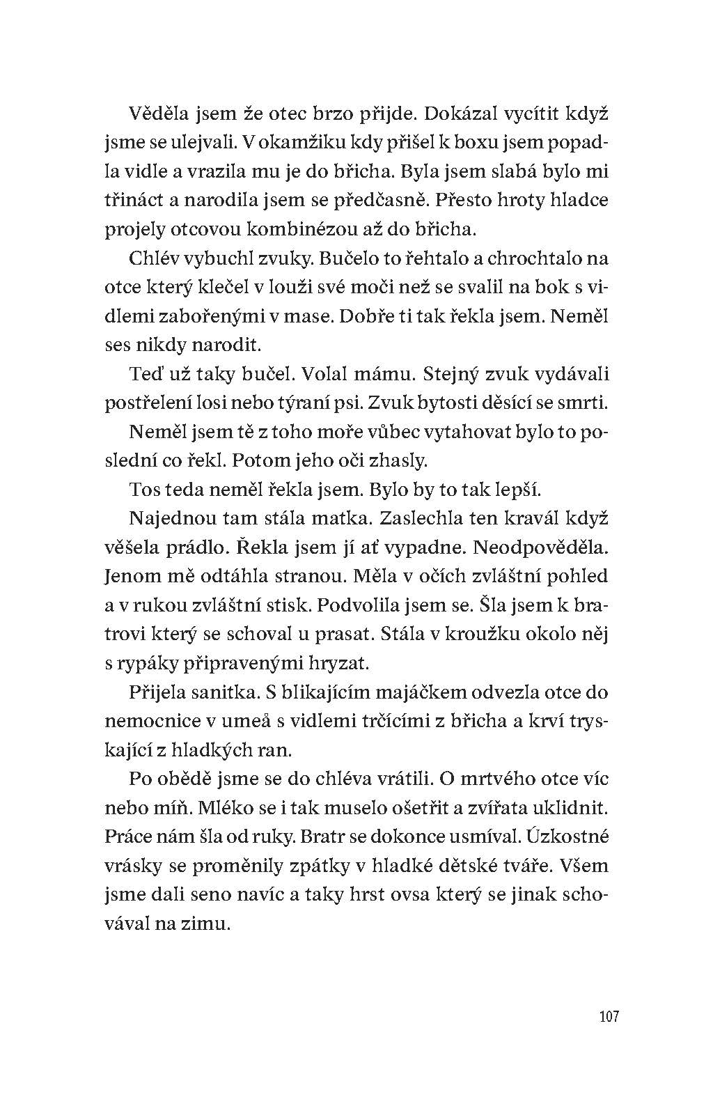 Můj bratr