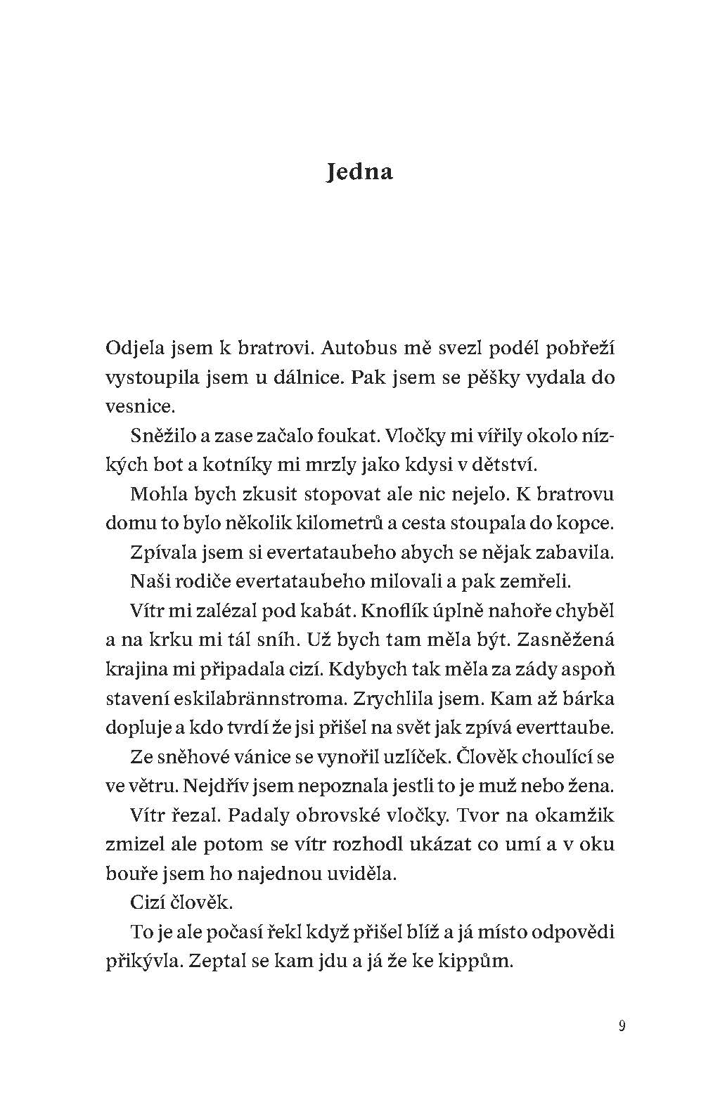 Můj bratr