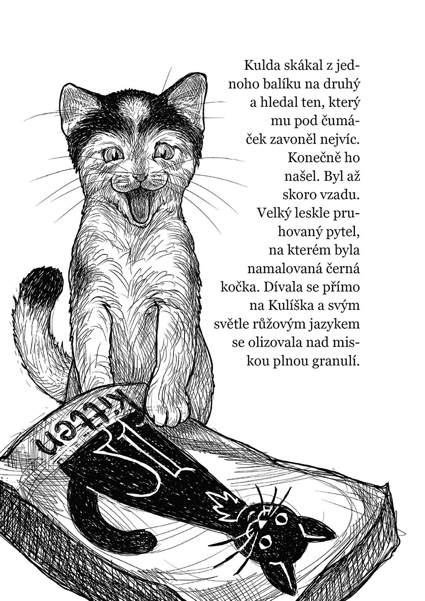 Vánoční koťátko