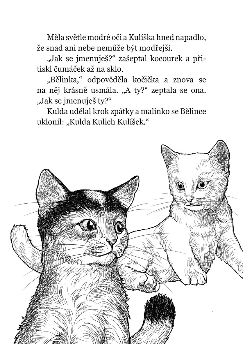 Vánoční koťátko