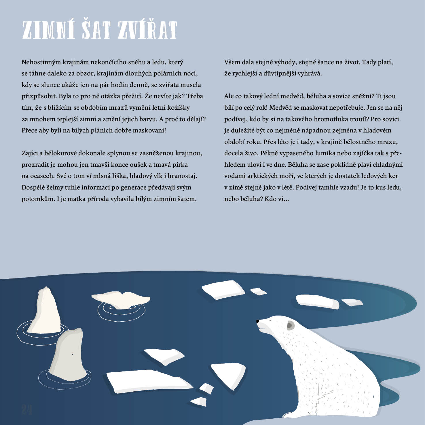 Zima ve světě zvířat