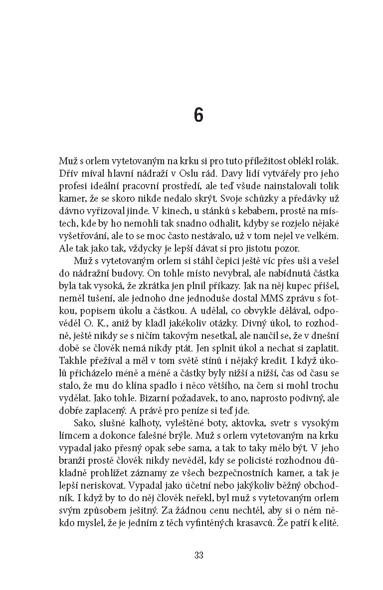 V lese visí anděl (brož.)