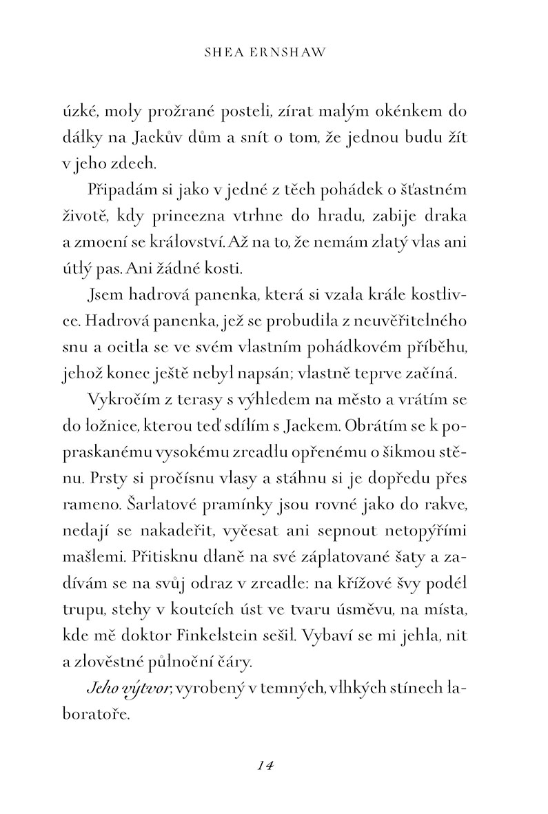 Tim Burton Ukradené Vánoce