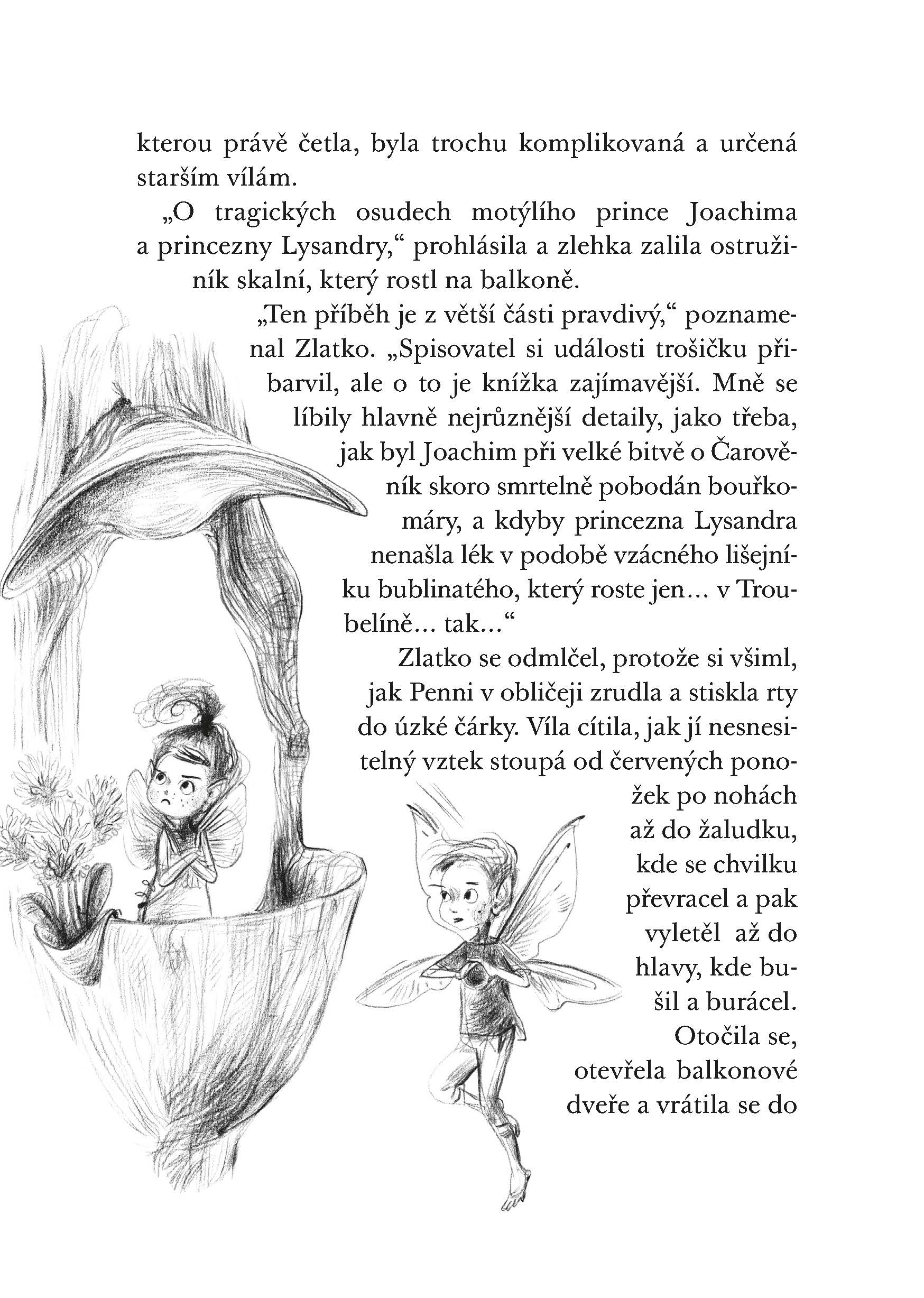Víly a kouzelný dort